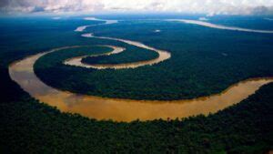 Insurrección en la Selva: Un Viaje Vibrante a Través del Corazón Verde de Brasil