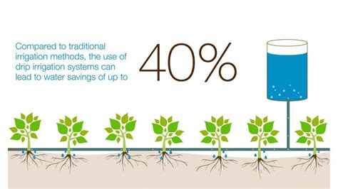 “Unlocking Water-Efficient Agriculture: A Masterpiece Unveiling Nature’s Hidden Potential”